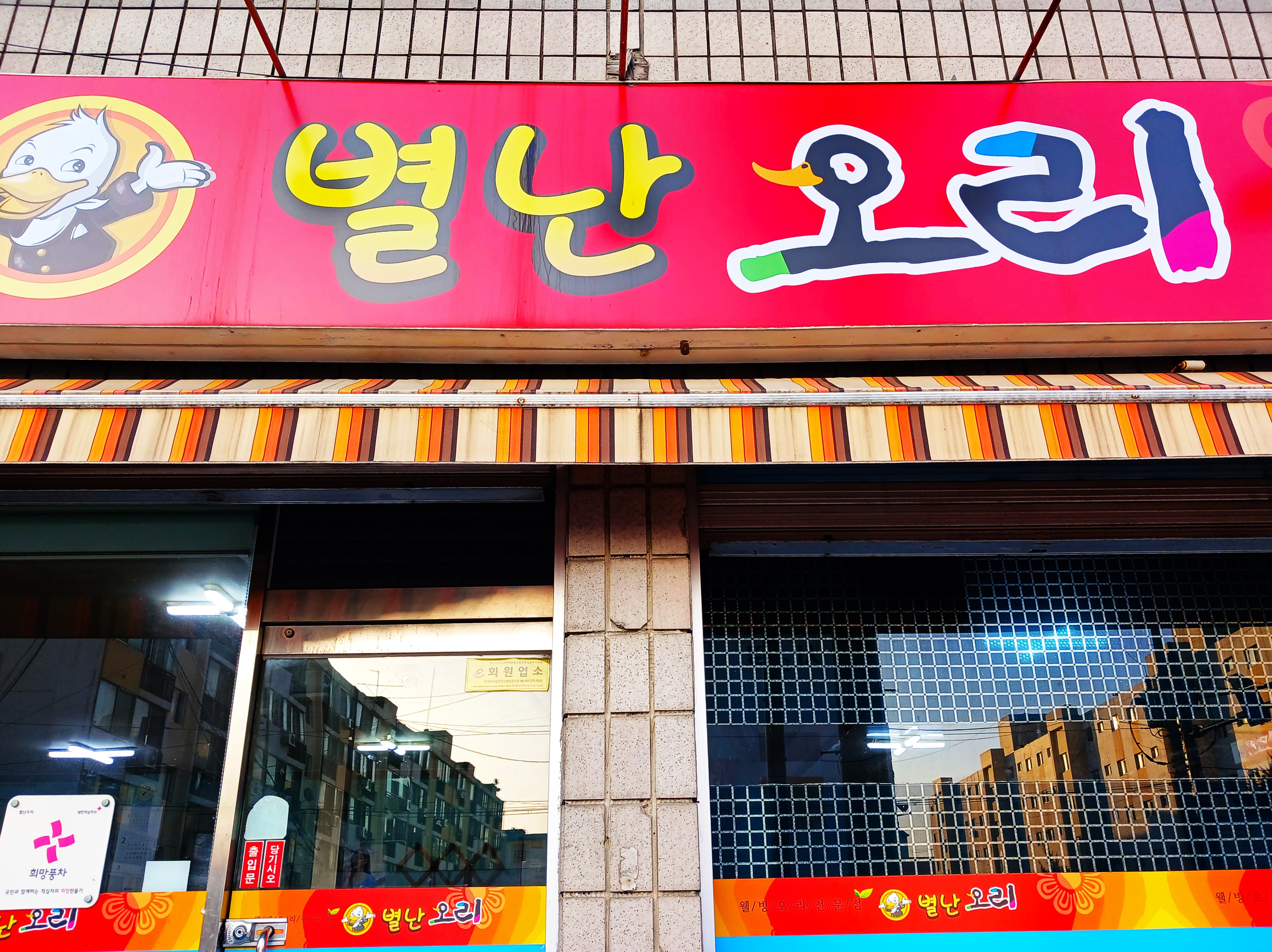 별난오리 이미지