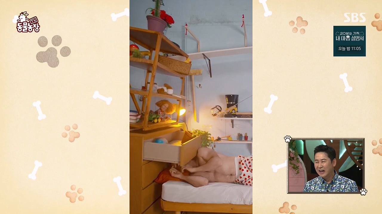 TV 동물농장.E1172.240520p-NEXT.mp4_20240519_162233.766.jpg