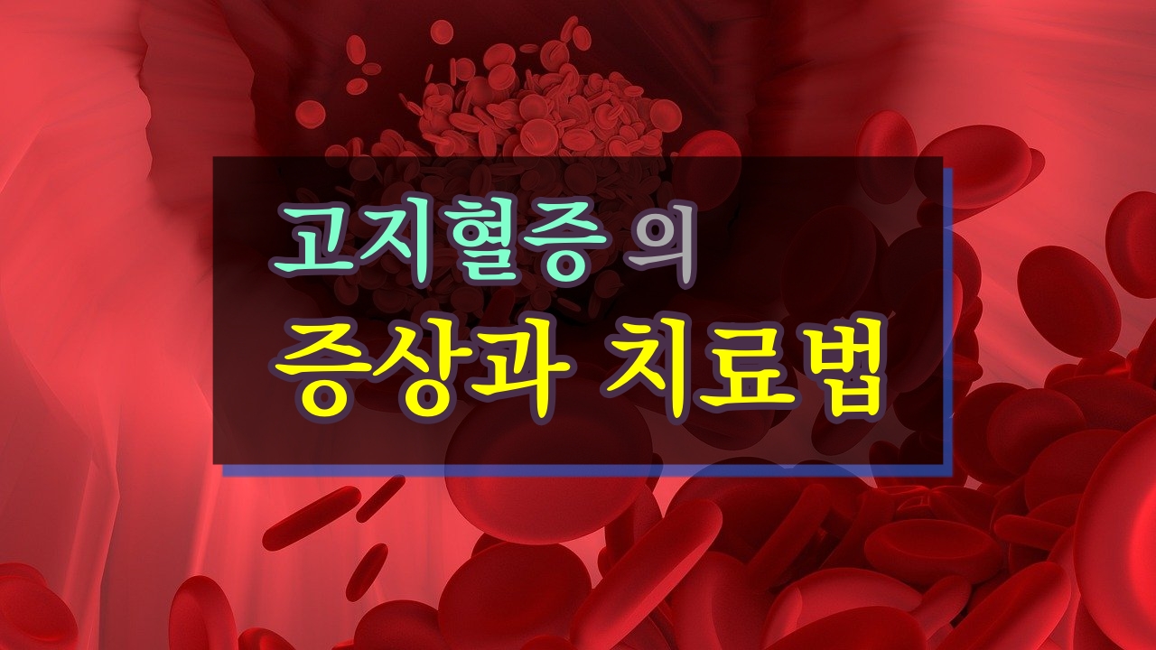  고지혈증의 원인과 치료법