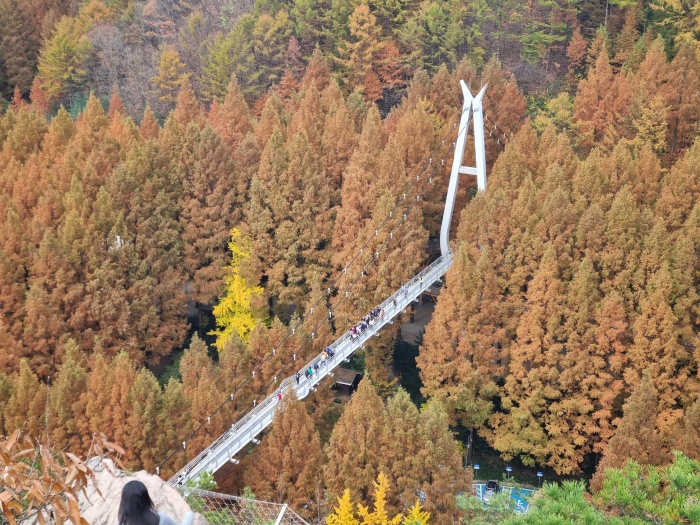출렁다리