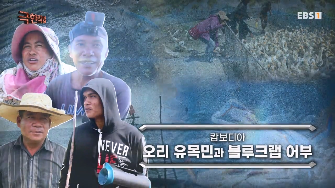 TV - 전 국민의 평생학교 EBS캄보디아 오리 유목민과 블루크랩 어부.mp4_20231223_172929.846.jpg