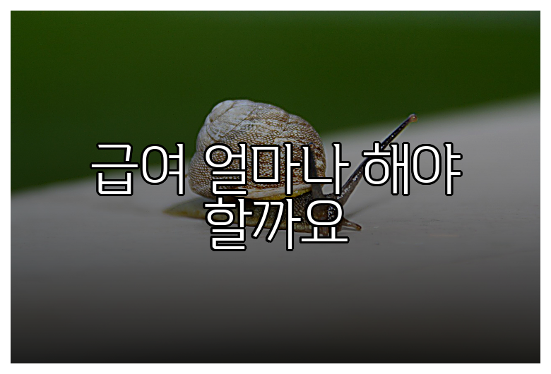 급여 얼마나 해야 할까요