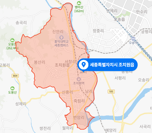  세종시 조치원읍 후배 살인사건 (2020년 1월 사건)