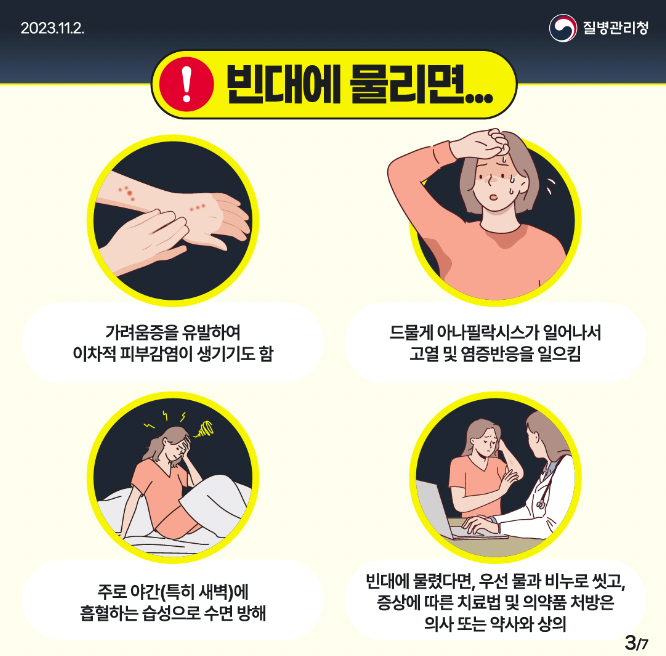 빈대 퇴치법 예방법 발견하는 방법