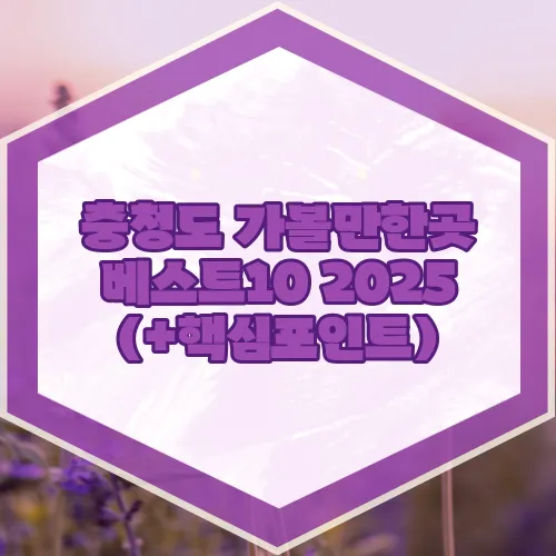 충청도 가볼만한곳 베스트10 2025 (+핵심포인트)