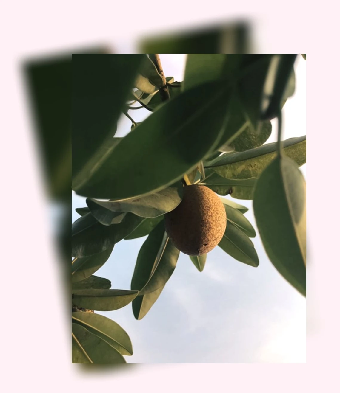 건강한 식단_3_subsection