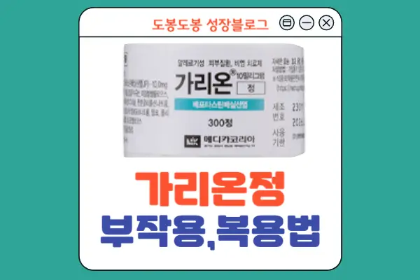 가리온정 안내 이미지