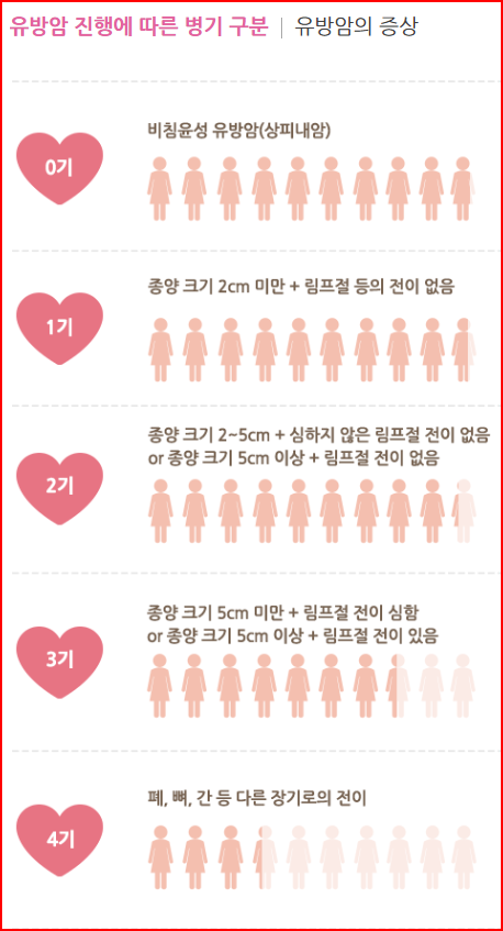 출처; 대한유방건강재단, 유방암 진행에 따른 병기구분