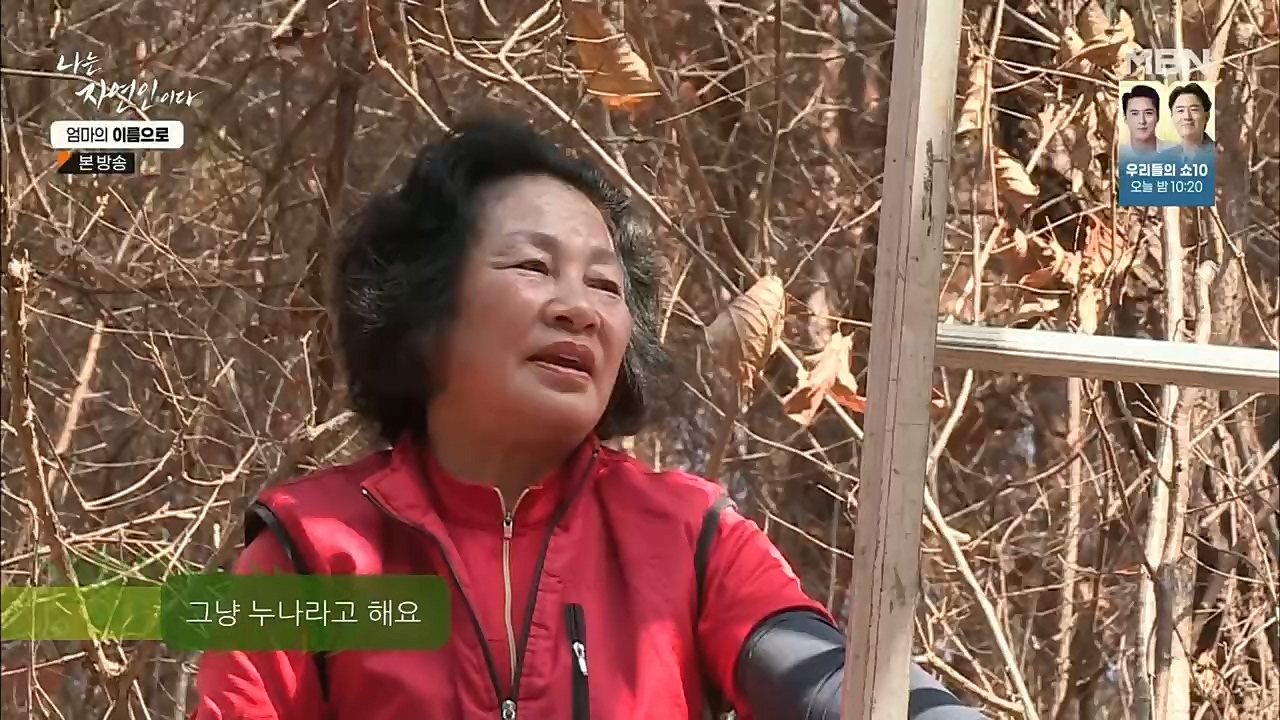 나는 자연인이다.E531.221208p.H264-F1RST.mp4_20221208_204228.308.jpg