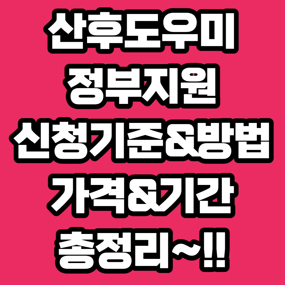 산후도우미-정부지원-신청-기준-조건-방법-가격-요금-기간-비용-산모-금액-서비스-연장-업체-추천-후기-신생아