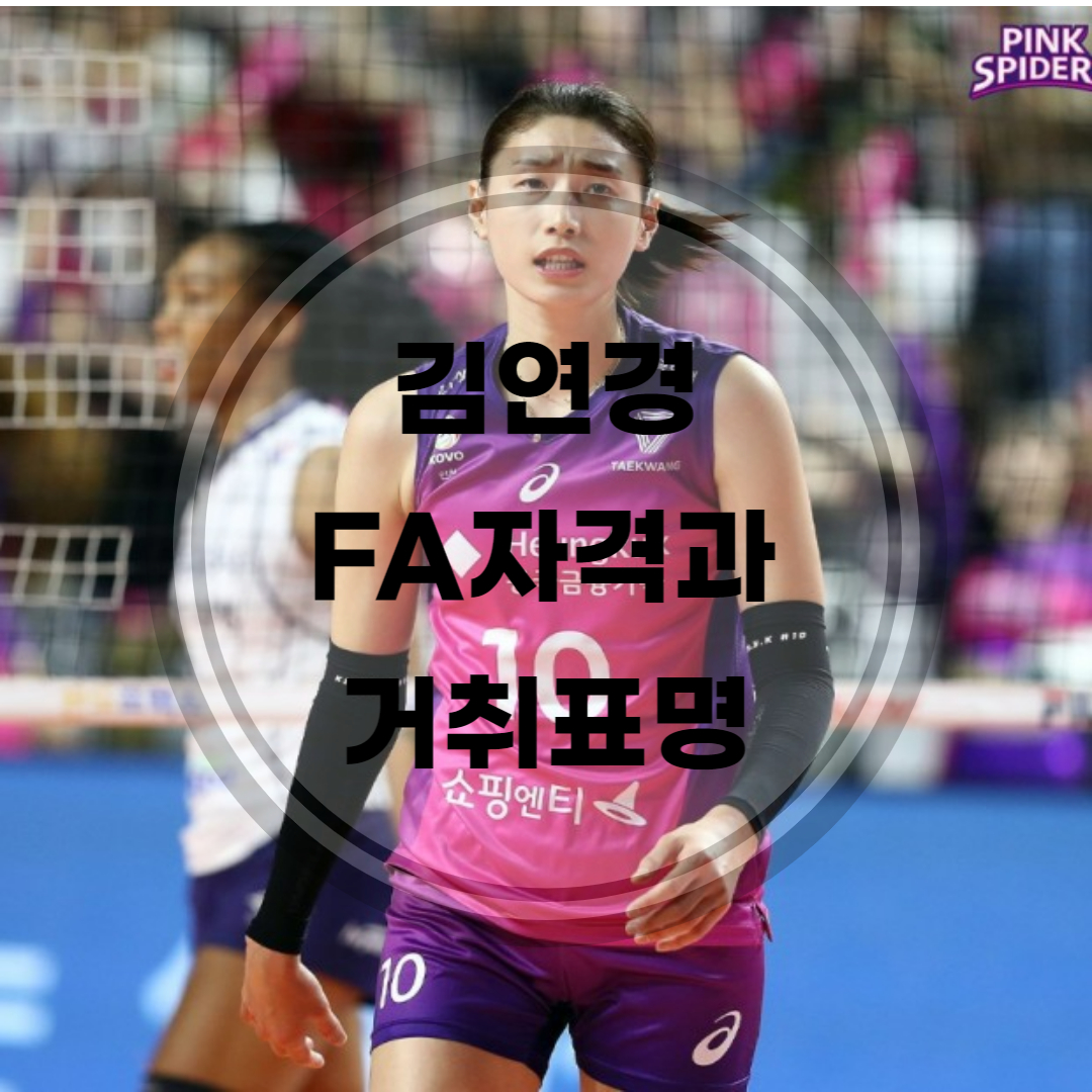 김연경