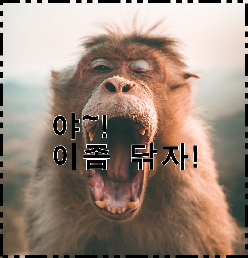  잇몸 건강과 치주질환 관리