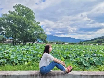 청도 여행 가볼만한곳 소싸움 경기장 입장료_19