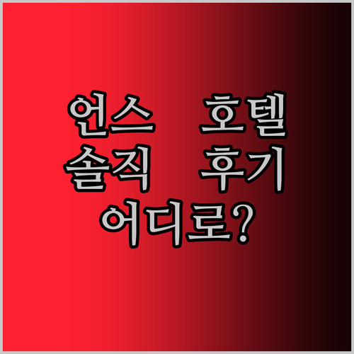 언스 호텔 어디로 갈까? 내돈내산 솔