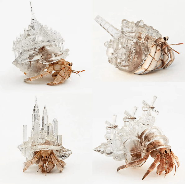 일본 예술가 Aki Inomata의 다양한 3D 프린트 소라게 껍질 캡처 사진.