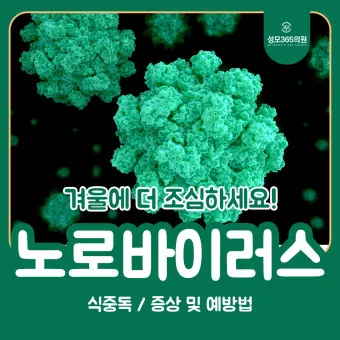 노로바이러스 증상 빠르게 대처하는 방법_15