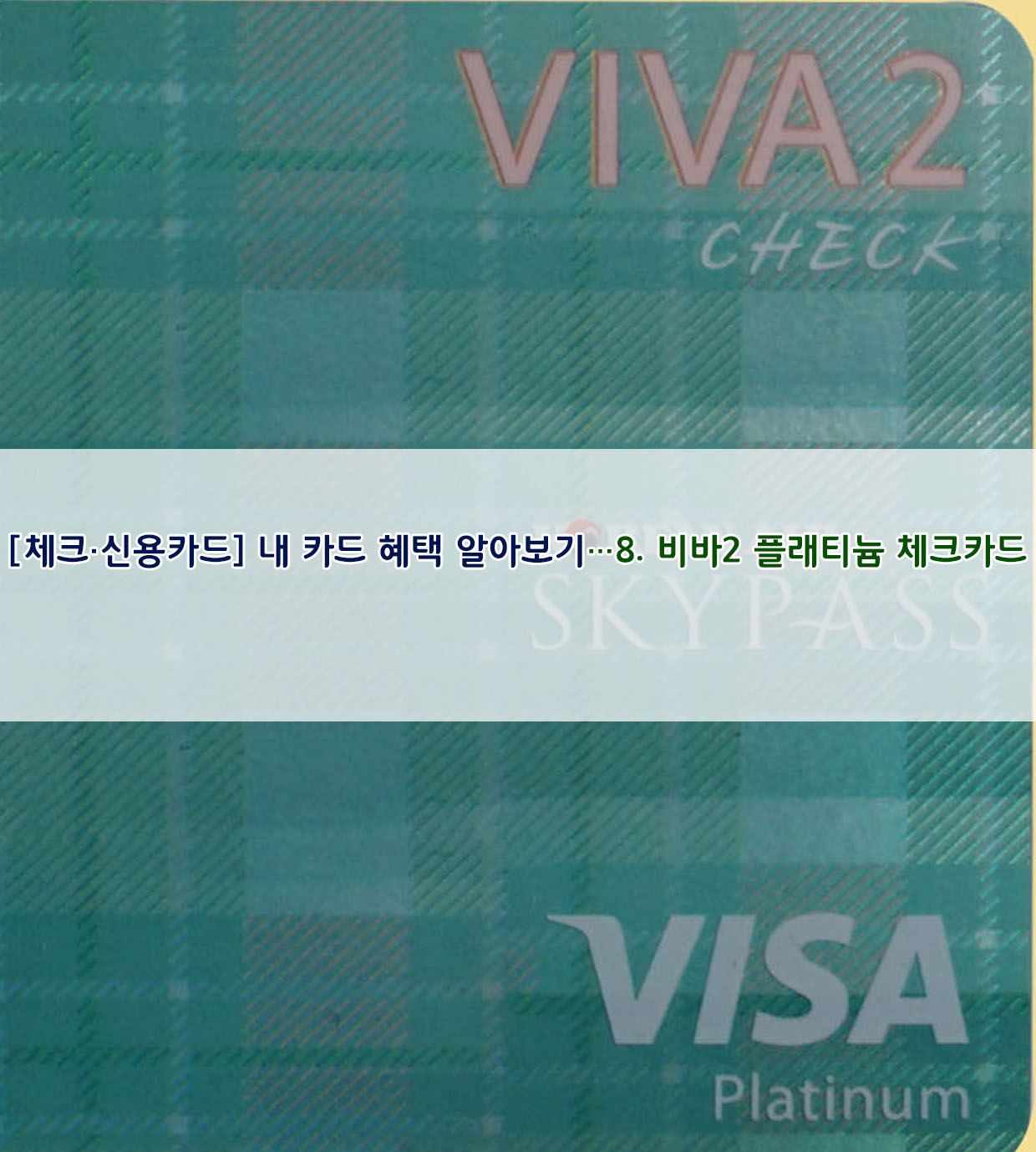  [체크·신용카드] 내 카드 혜택 알아보기…8. 비바2 플래티늄 체크카드
