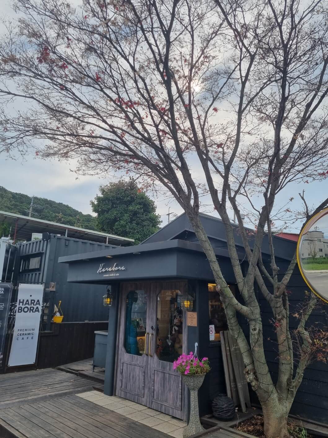 [가을 여행 추천지] 신시모도 당일치기 / 배 시간표 / 하라보라 카페 / 숙박 펜션 정보