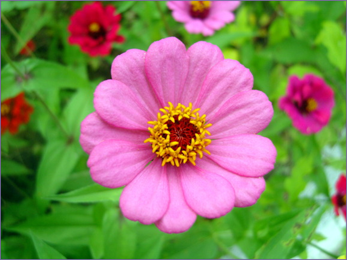 원주 감악산 / 20090914 53