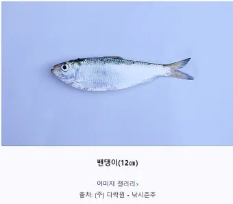 밴댕이 소갈딱지 뜻 사용 방법 용례 예시_3