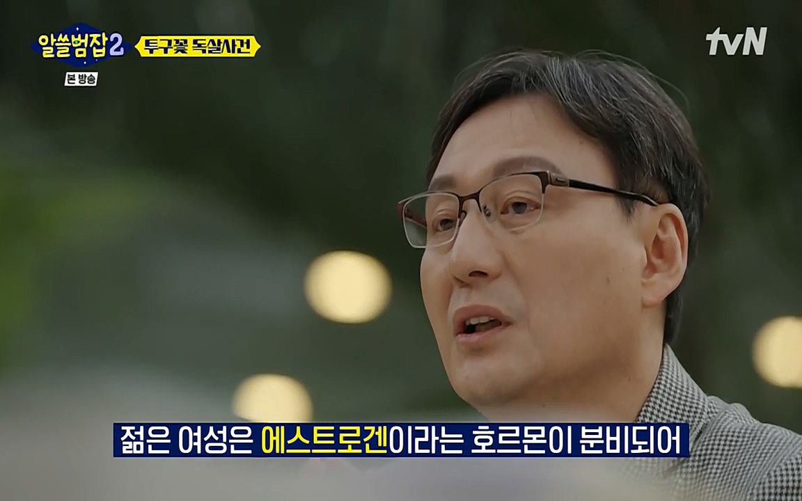 알쓸범잡 2.E15.220425p-NEXT.mp4_20220425_180922.447.jpg