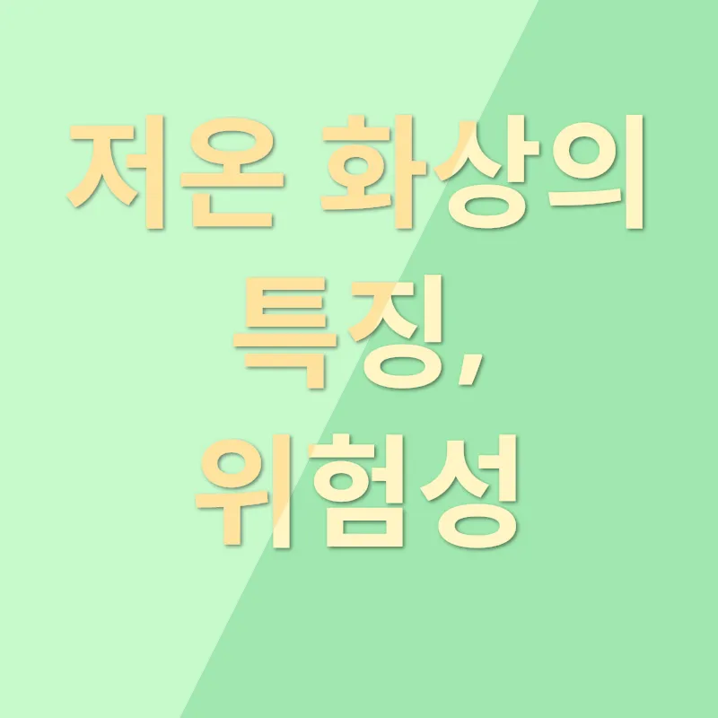 저온 화상_2