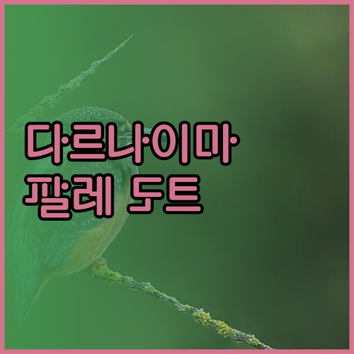 페스 인기 숙소 다르 나이마, 팔레 