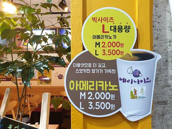 베리나이스 이미지