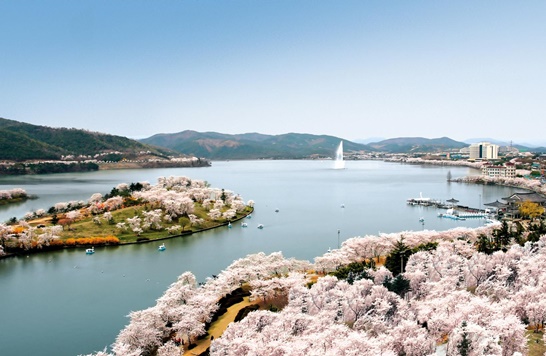 보문호에-핀-벚꽃-사진-출처-경주문화관광