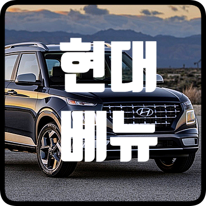  베뉴 가격