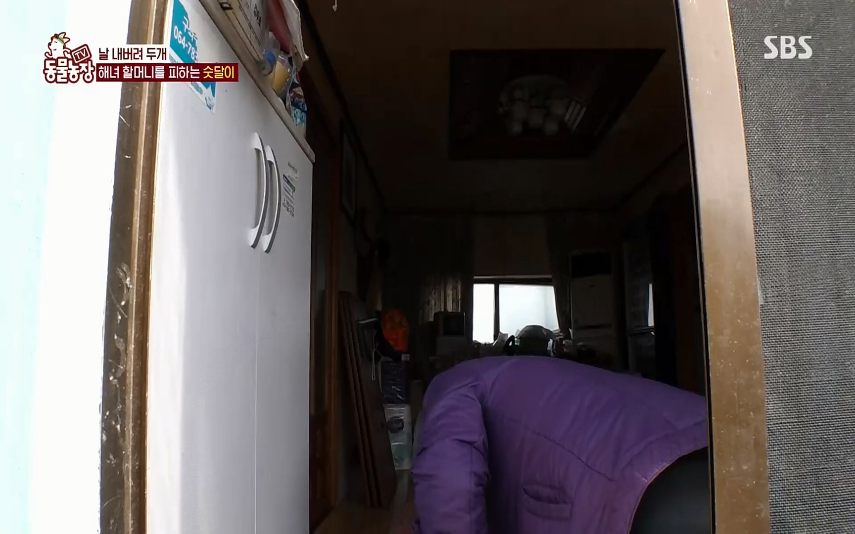 TV 동물농장.E1073.220612p.H264-F1RST.mp4_20220612_181402.089.jpg