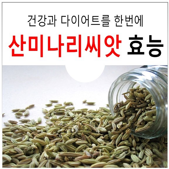  다이어트에 좋은 산미나리씨앗 효능 소개합니다.