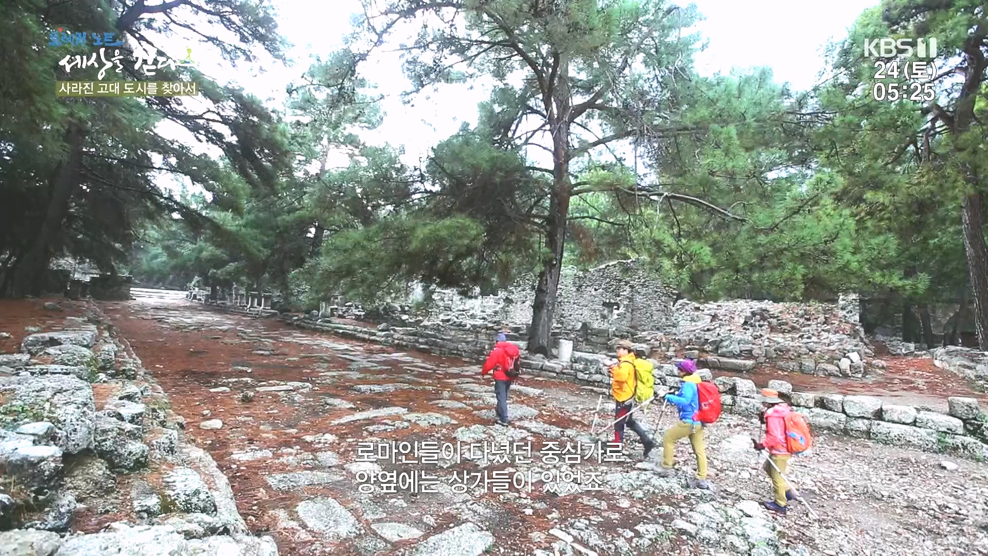 트레킹노트 세상을 걷다.E309.240224p.H264-F1RST.mp4_20240808_201342.473.jpg