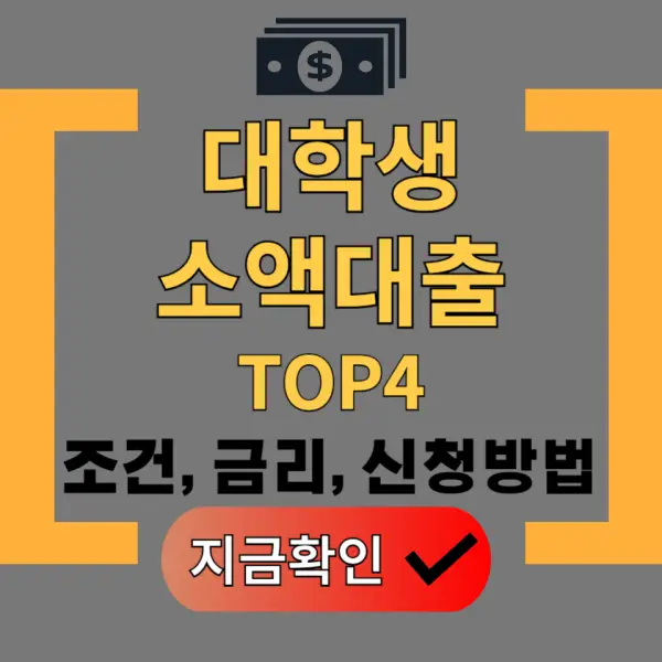 대학생 소액대출 포스팅 대표