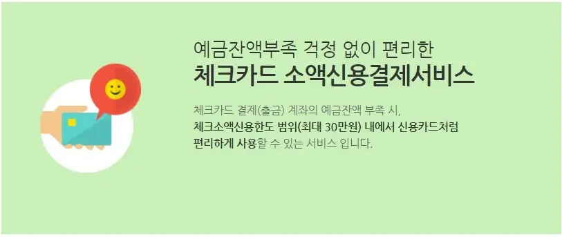  체크카드 소액신용결제 한도