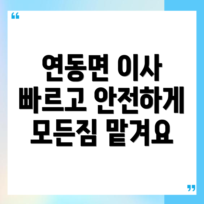 세종시 이삿짐센터