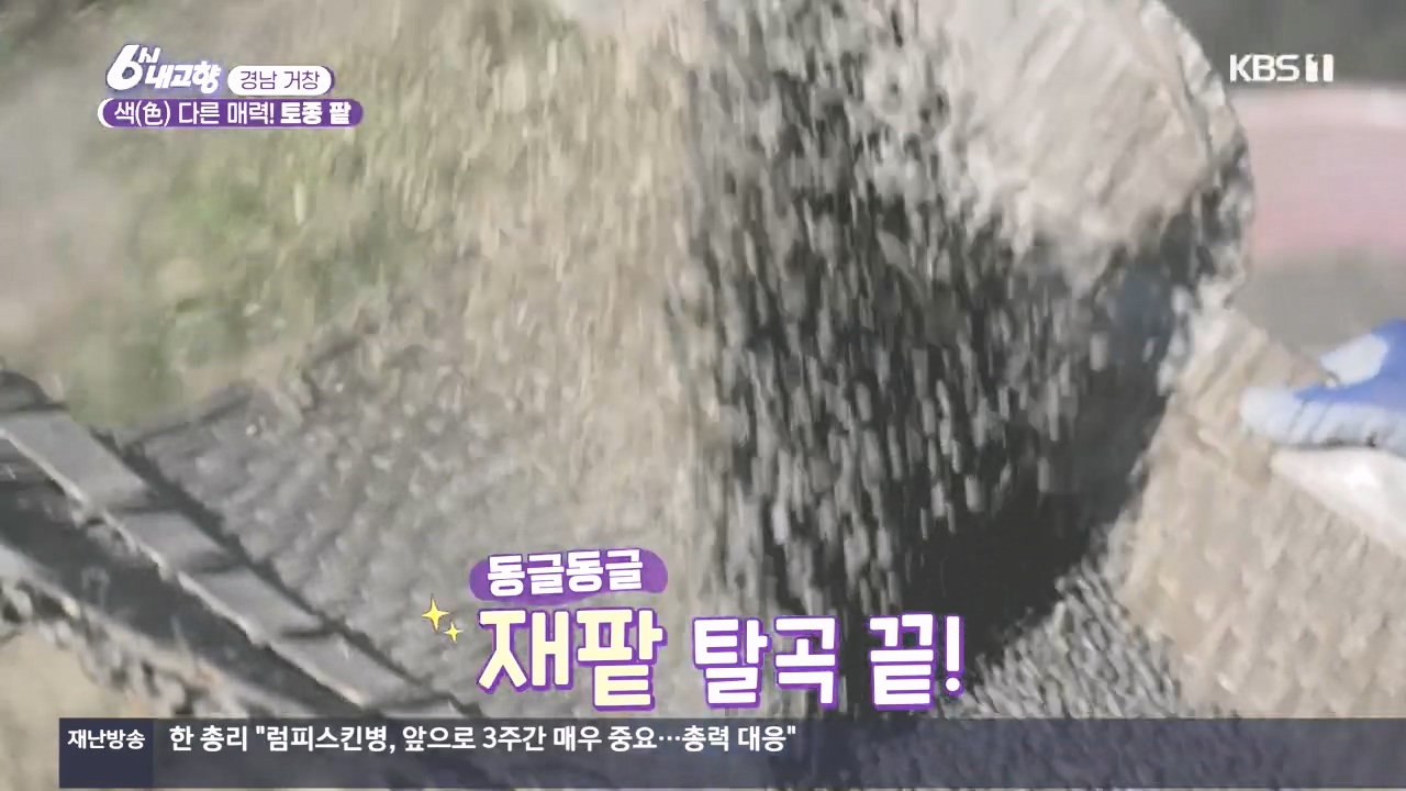 6시 내고향.E7897.231025p.H264-F1RST.mp4_20231025_200122.499.jpg