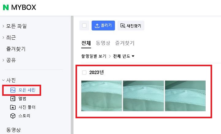 올리기한 사진들 보임