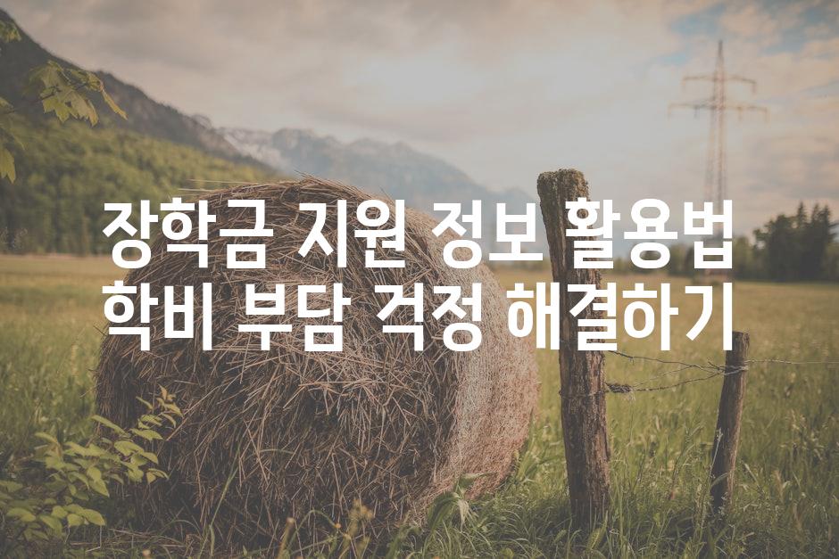 장학금 지원 정보 활용법 학비 부담 걱정 해결하기
