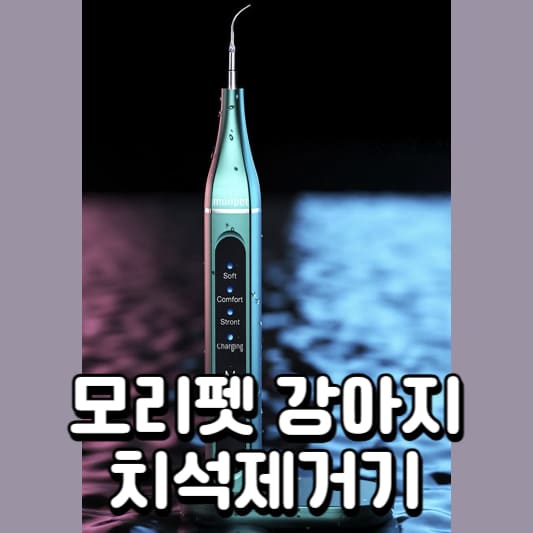 모리펫-치석제거기
강아지-치석제거기
치석제거기
반려동물-치석제거기