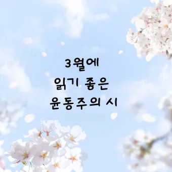 봄 시 모음 이해인 나태주 명시 모음_19