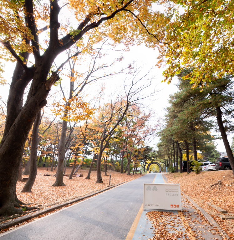  경기상상캠퍼스 텐트 이용 방법 