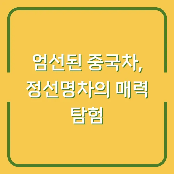 엄선된 중국차, 정선명차의 매력 탐험