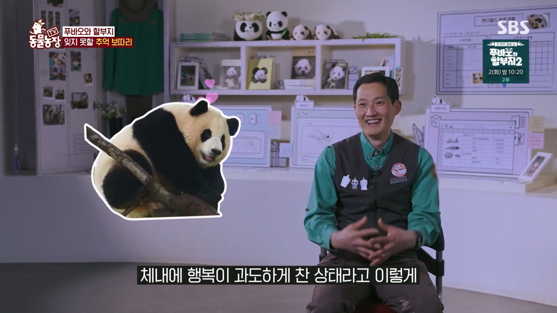 TV 동물농장.E1165.240331p.H264-F1RST.mp4_20240331_144356.378.jpg
