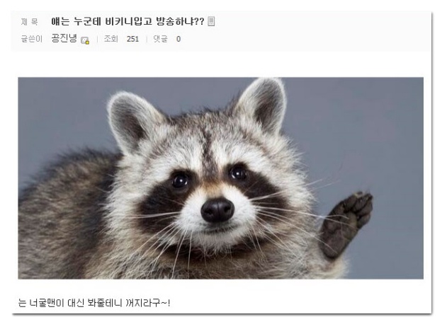 너굴맨이 처리했다고 뜻, 드립