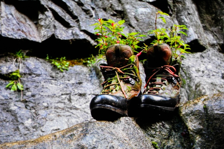 남의 신발꿈 해몽 신발꿈 해몽 새신발사는꿈 6