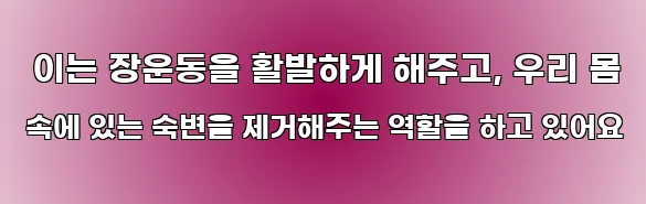  이는 장운동을 활발하게 해주고, 우리 몸 속에 있는 숙변을 제거해주는 역할을 하고 있어요