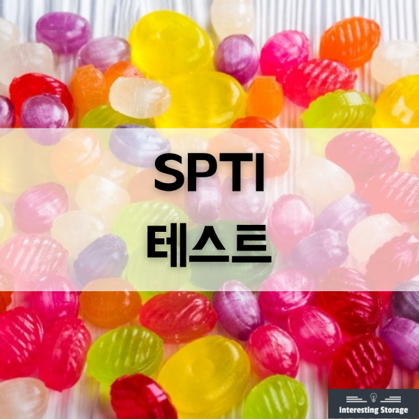  스낵팟 테스트(네샤 SPTI ) 문제 & 결과 총정리