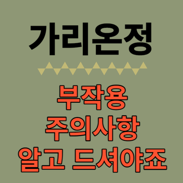 가리온정썸네일