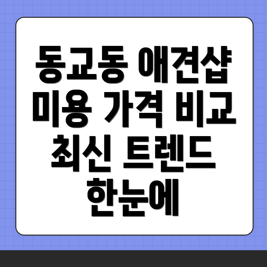 애견미용